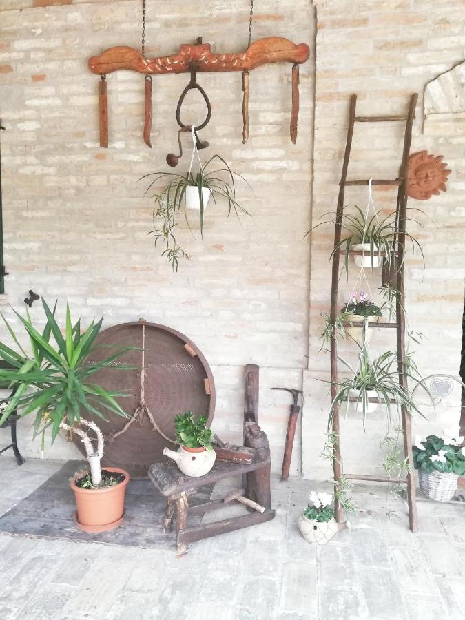 Casa Vacanza Flora Grottazzolina Dış mekan fotoğraf